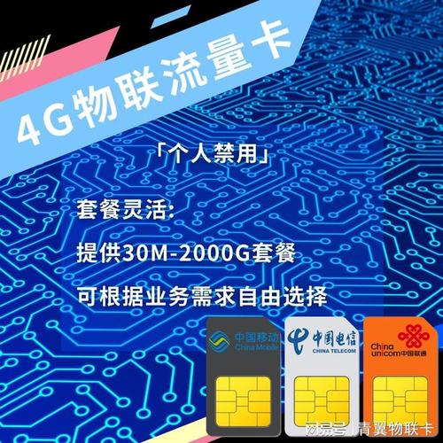 网办流量卡送哪些