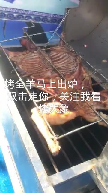 快手大象怎么玩