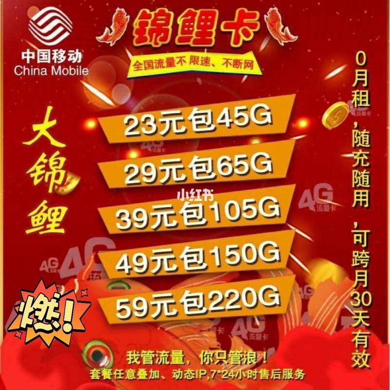 移动有没有大额流量卡买