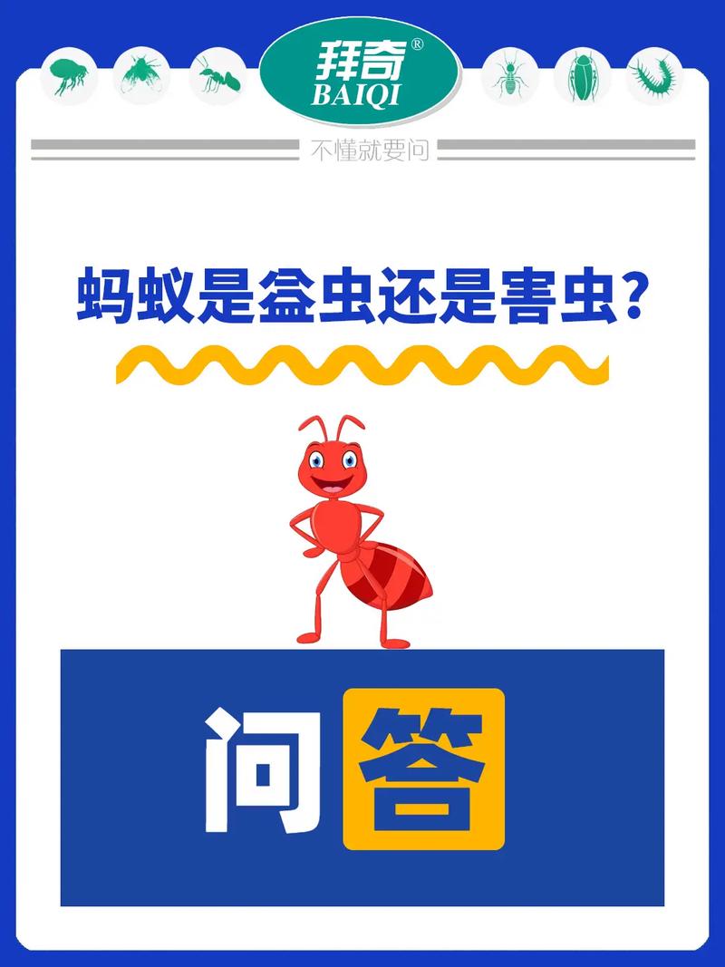 抖音小蚂蚁是什么意思呀
