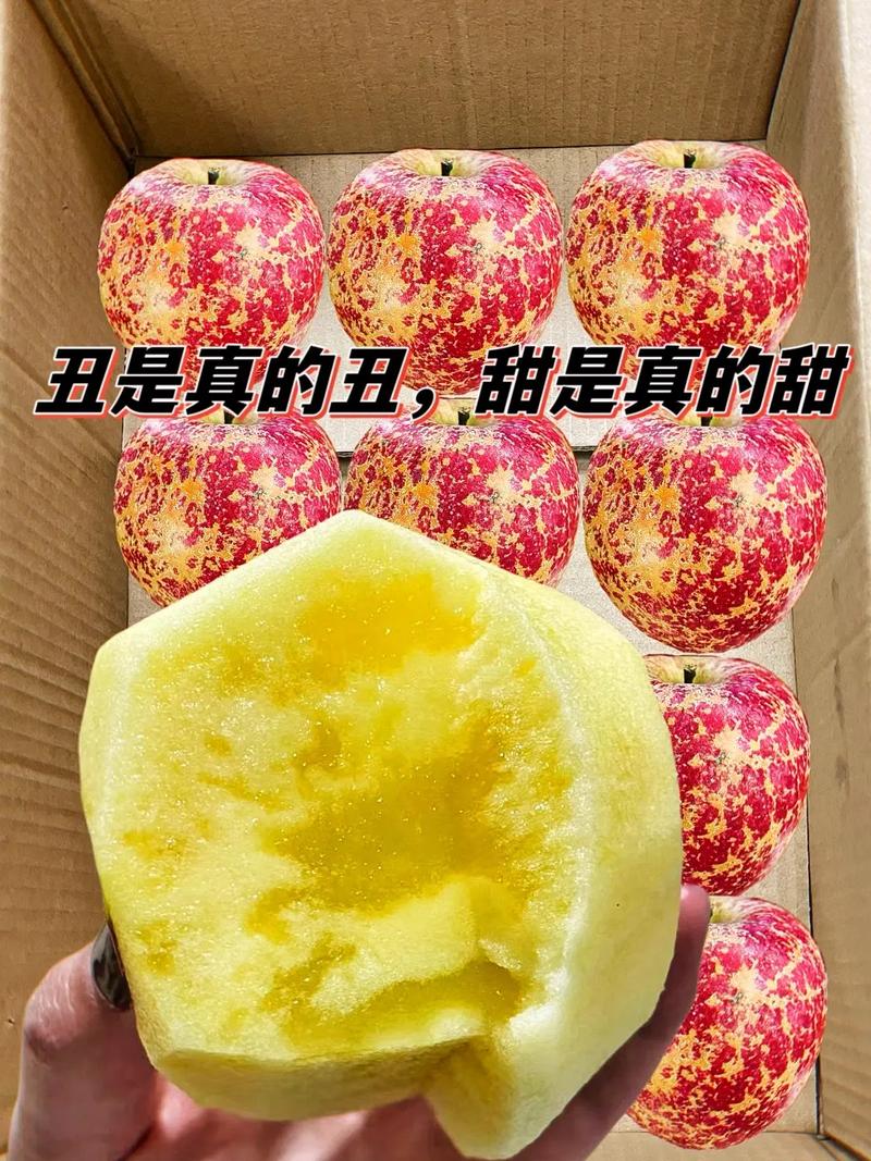 丑人为什么喜欢拍抖音呢