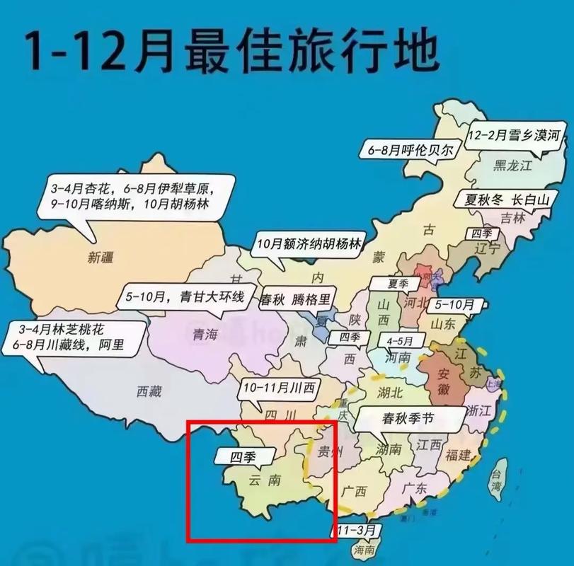 河南泌阳卖流量卡的电话