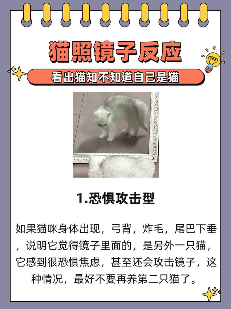 怎么看别人爱看什么抖音