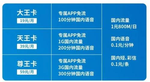 王卡有多少免流量