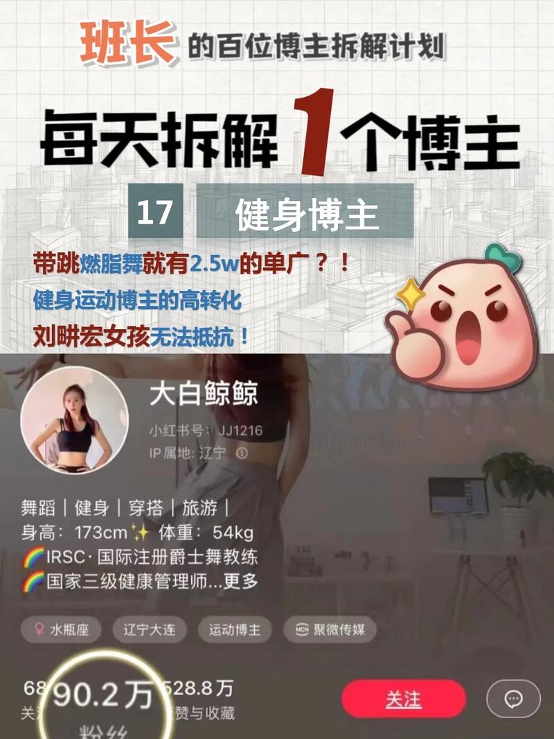 抖音刘畊宏女孩什么意思