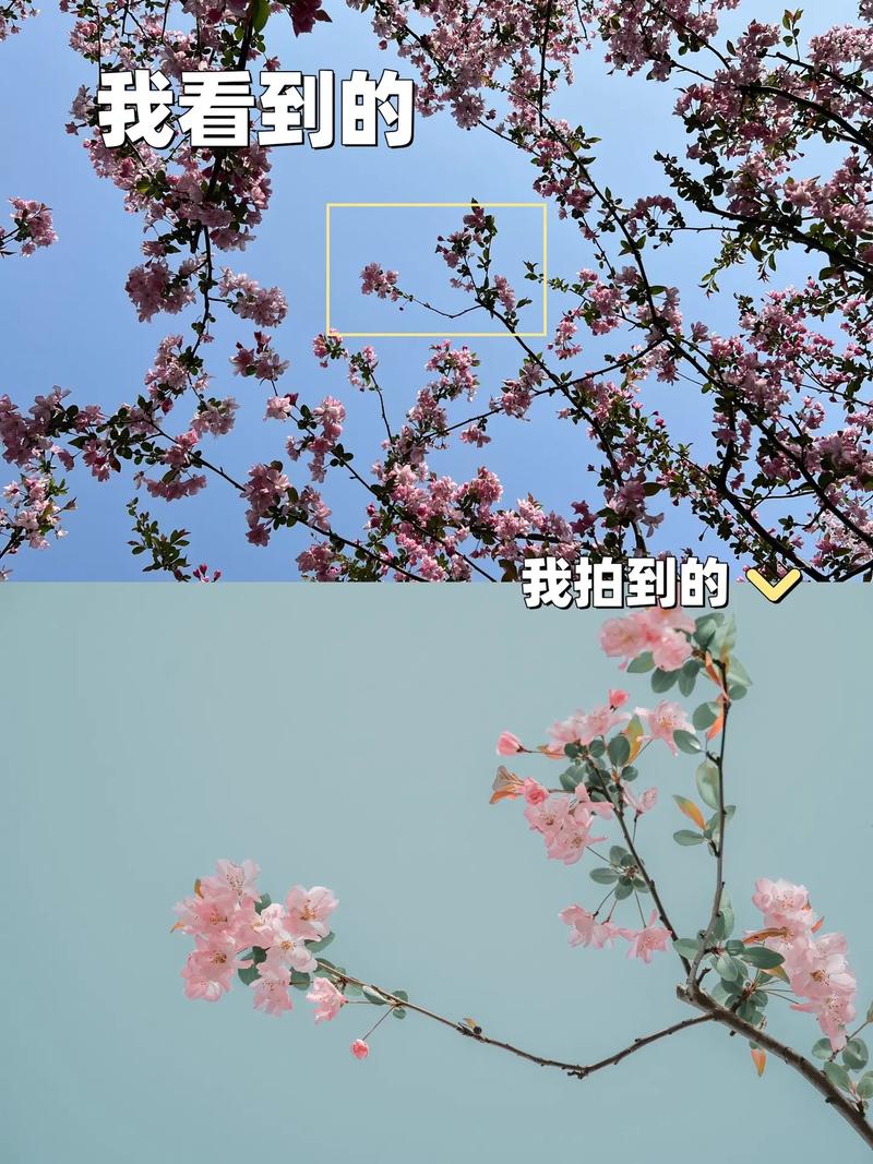 抖音里拍什么有意思吗