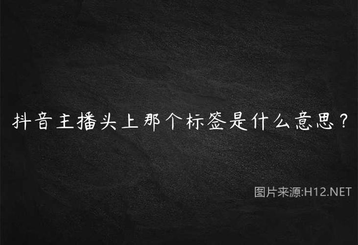 抖音里贴标签什么意思呀