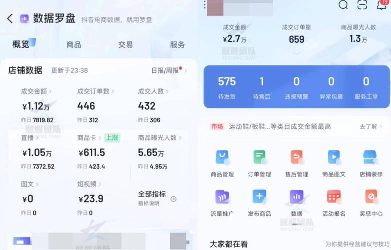 抖音店项目是什么样的