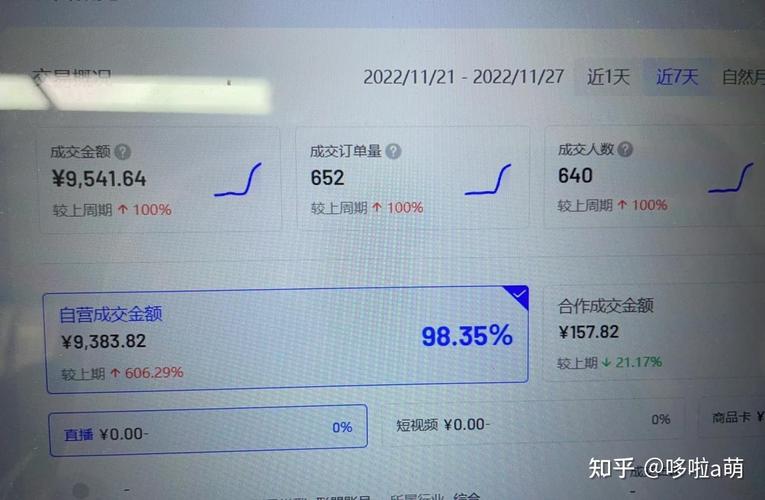 抖音店项目是什么样的