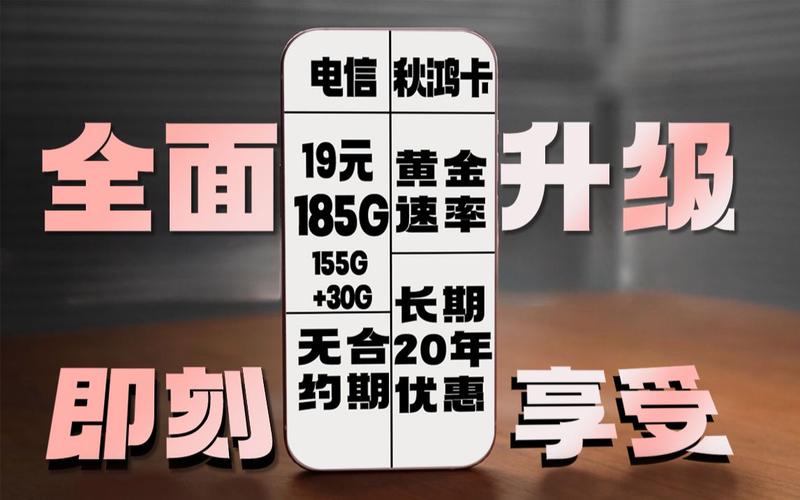 电信流量卡秋鸿