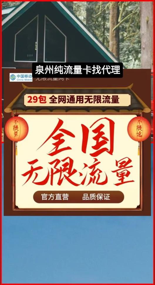 泉州大王流量卡哪家便宜