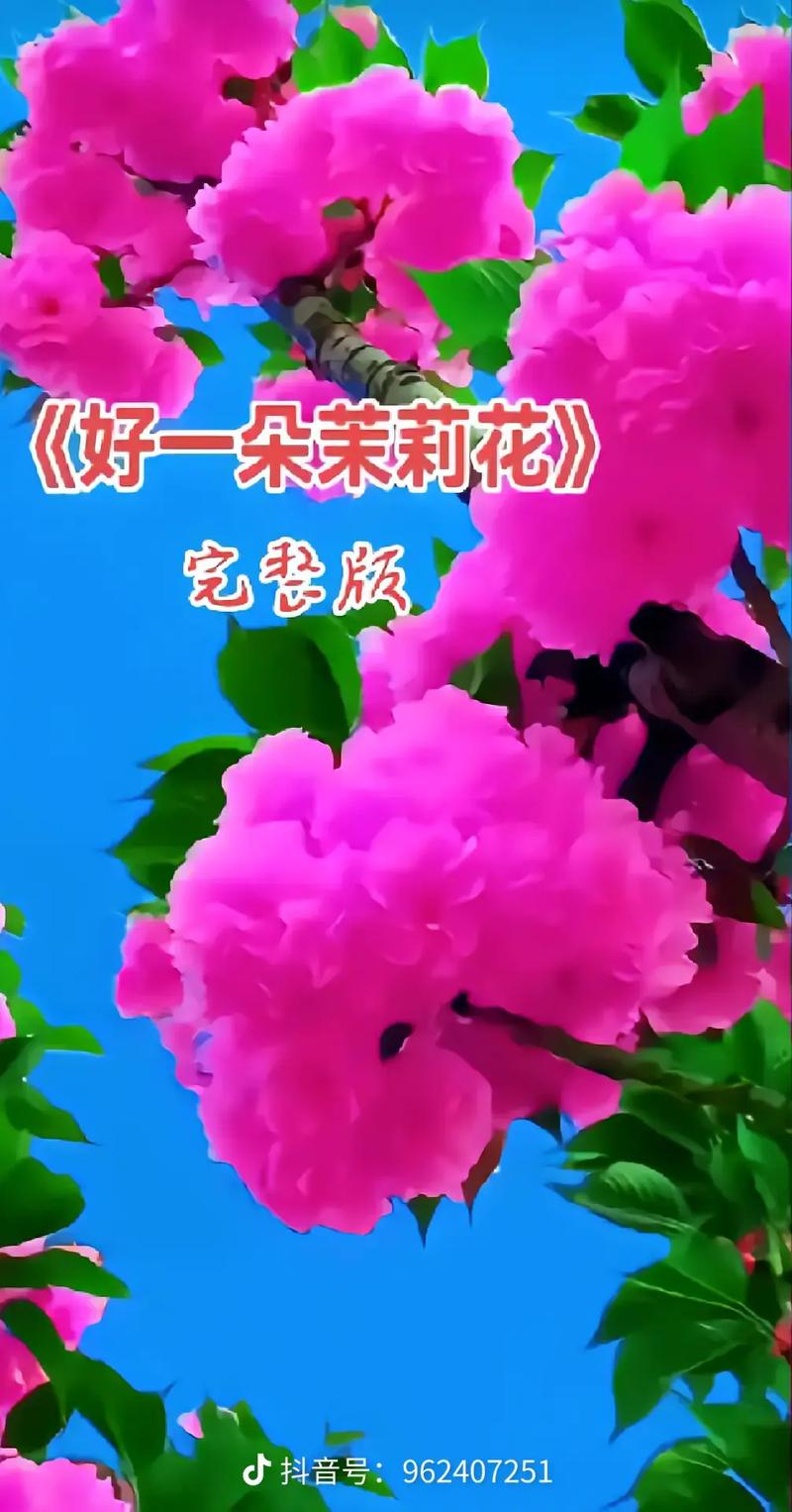 开通抖音号用什么手机号