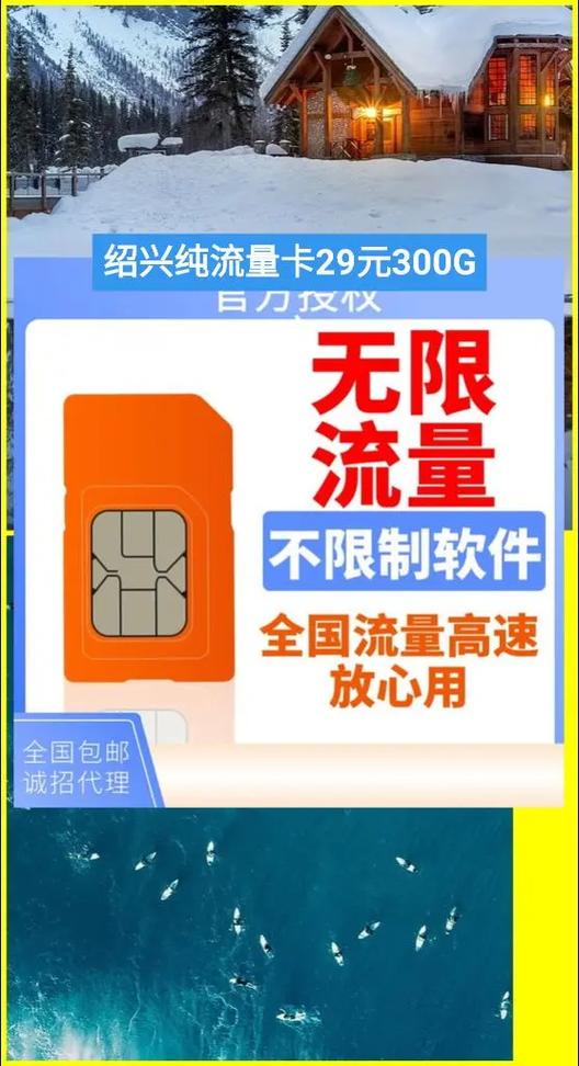 29元流量王升级大王卡