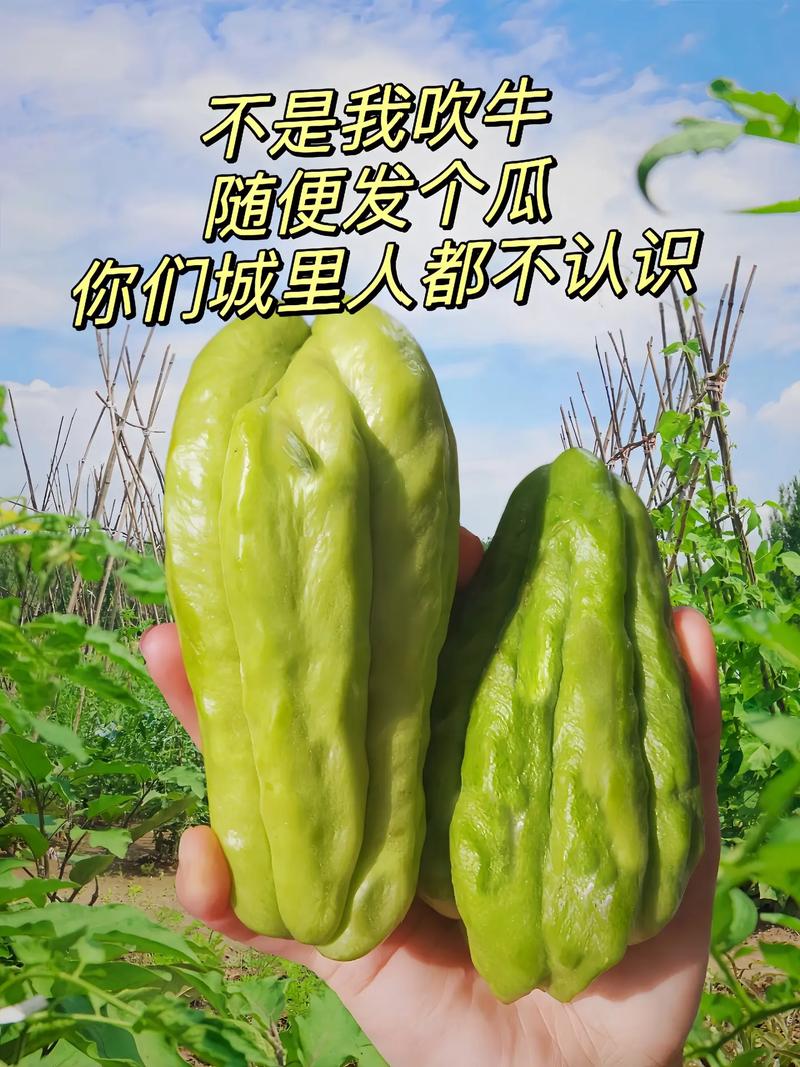 抖音门酱的瓜什么意思