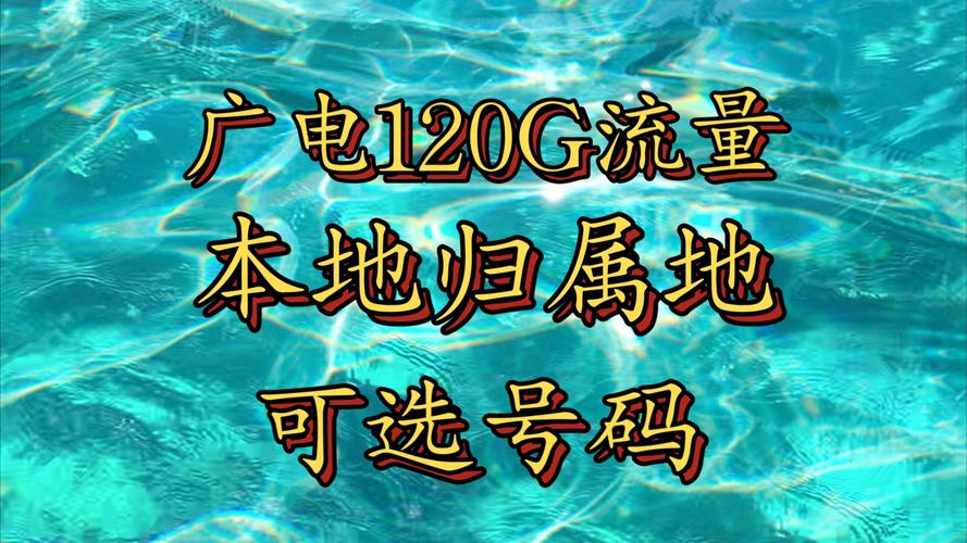 庄河本地流量卡