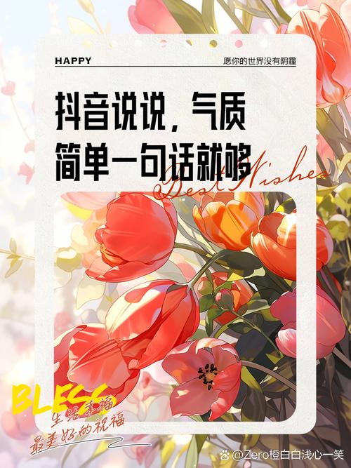 抖音里说说是什么意思