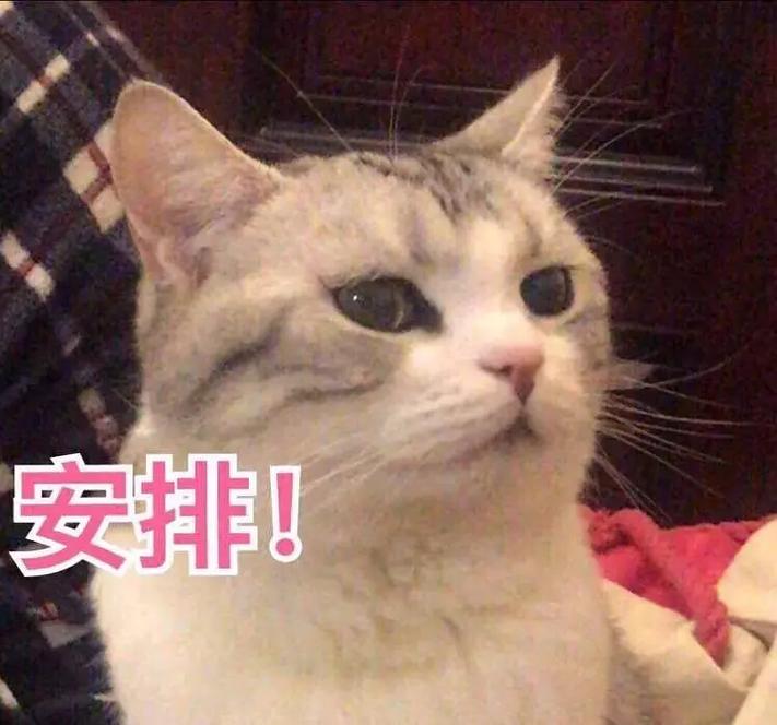 你在干嘛呢抖音号是什么