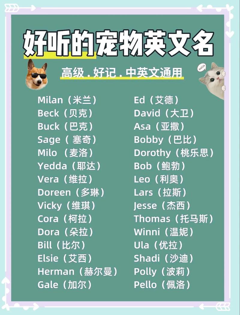 为什么抖音英文名改不了