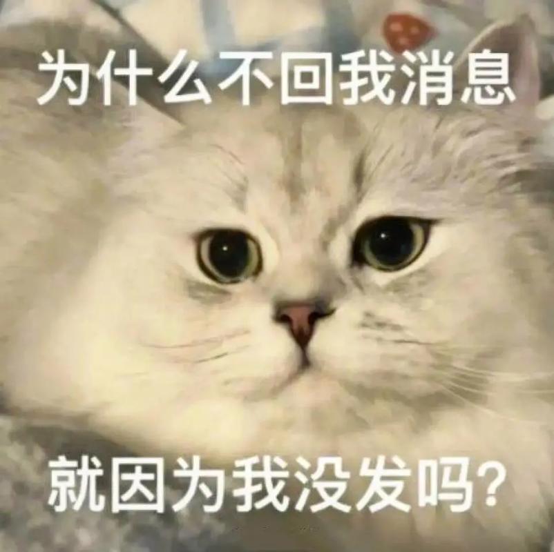 为什么抖音发不出消息了