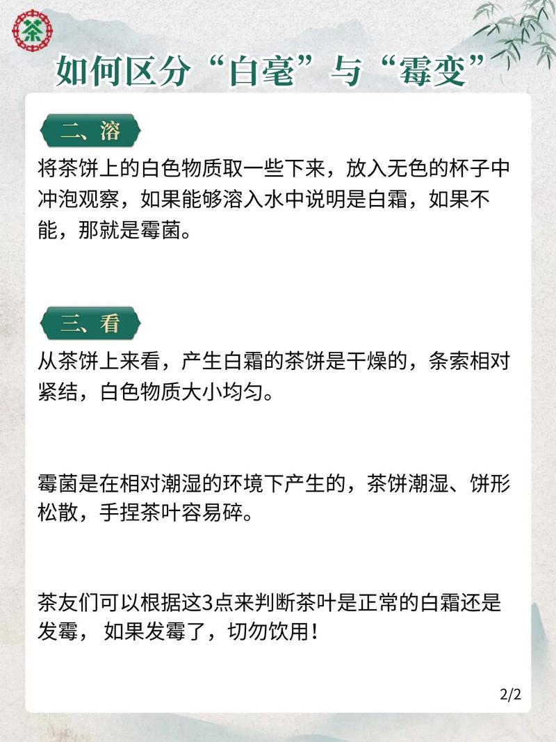 抖音号普洱茶什么意思
