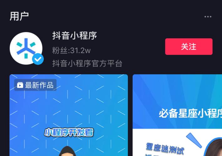 做抖音用的小程序是什么
