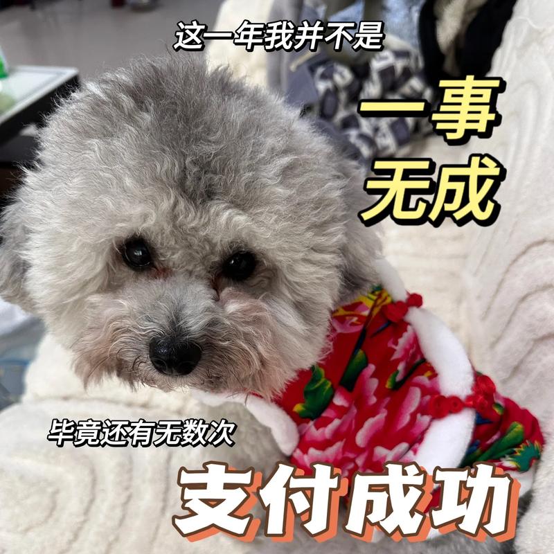 你在干嘛呢抖音号是什么