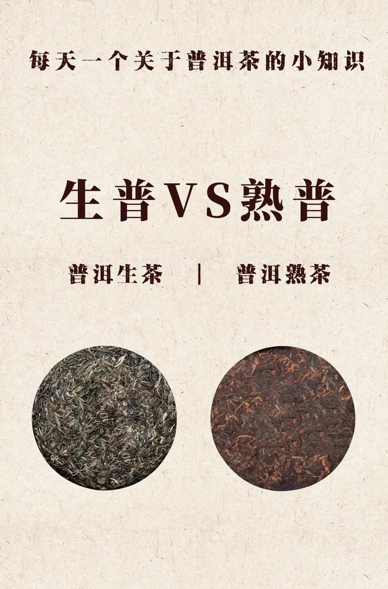 抖音号普洱茶什么意思