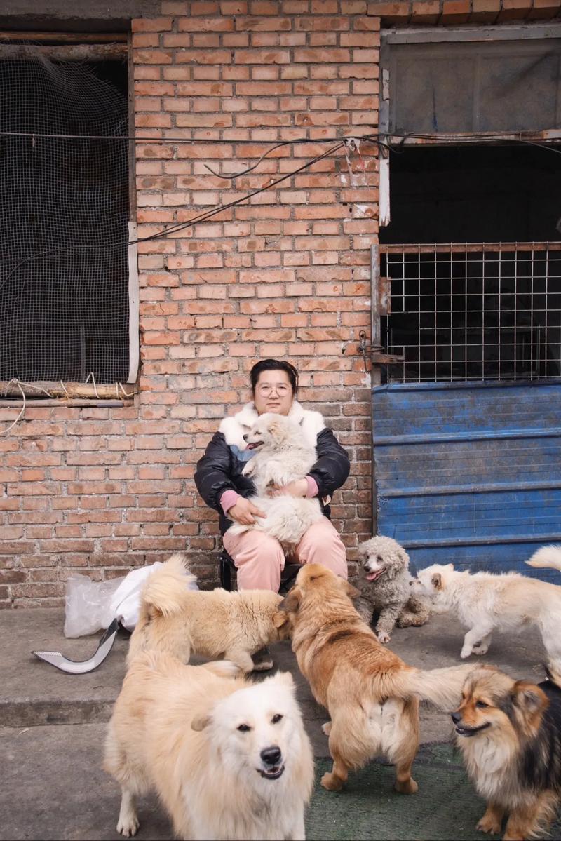拯救流量猫狗视频卡顿