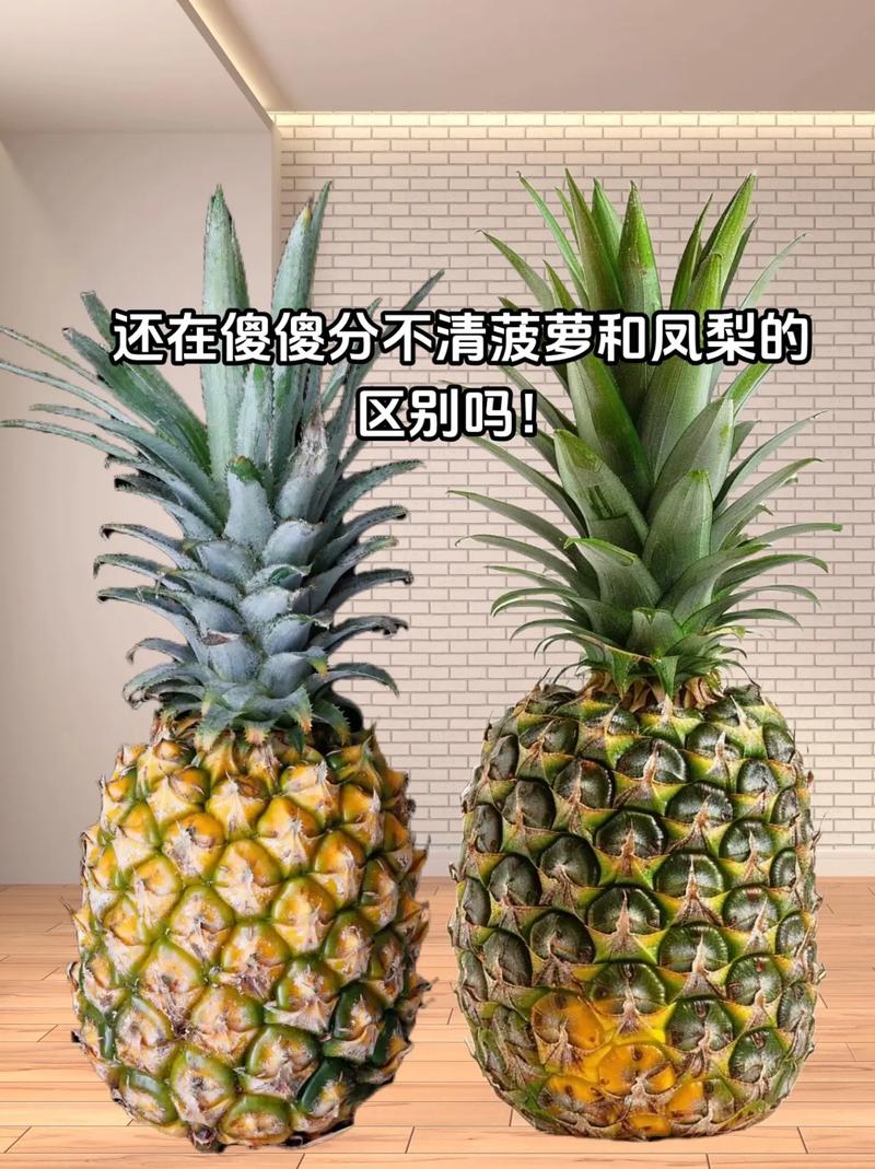 抖音上的菠萝什么意思啊