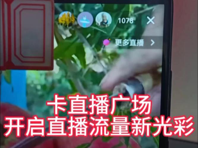 手机户外直播流量太多卡