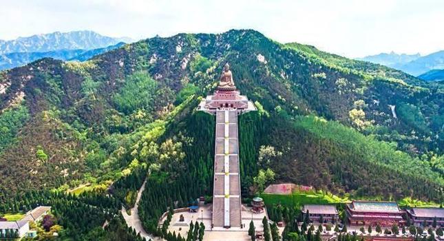 山东龙口流量卡