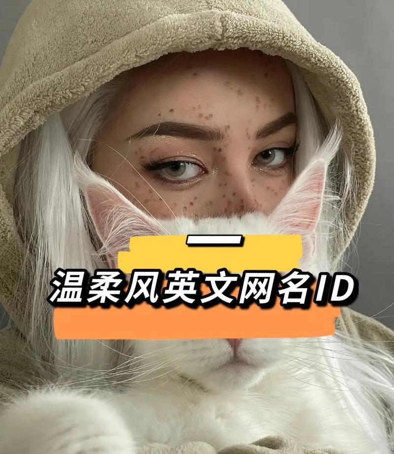 为什么抖音英文名改不了