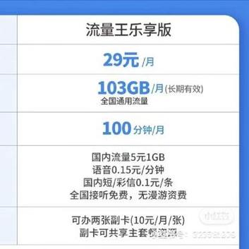 大王卡流量多少钱