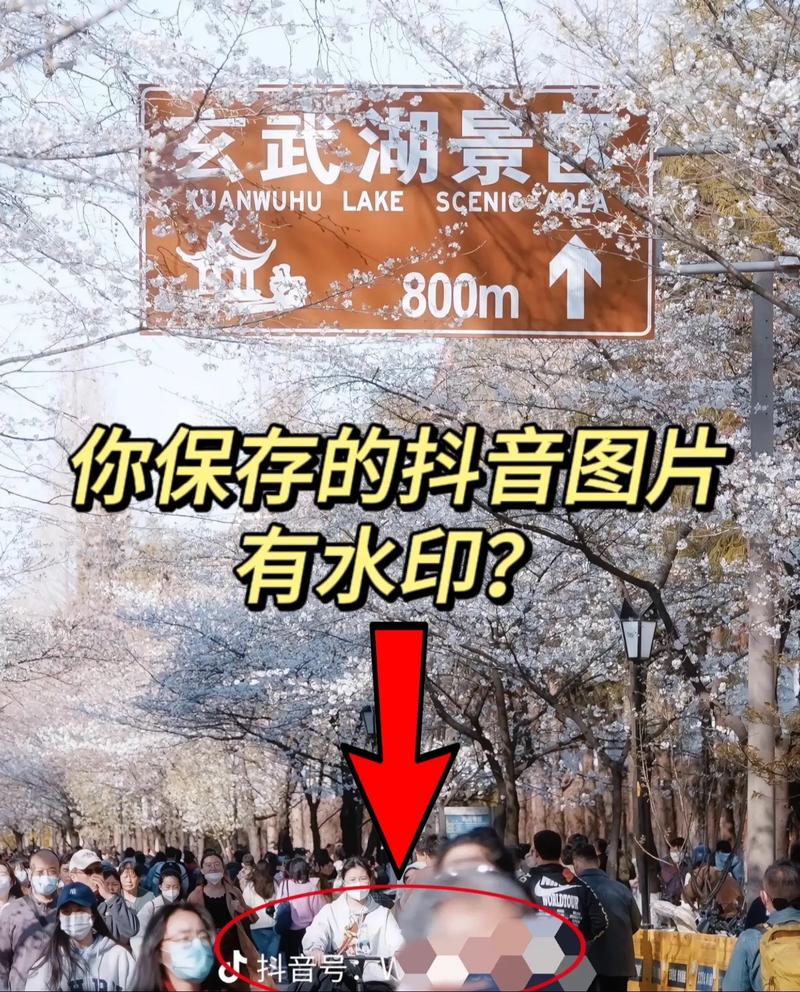 抖音上传为什么有水印呢