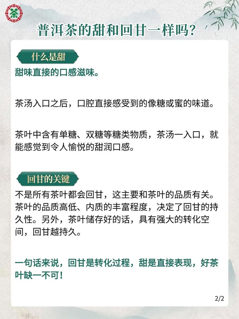 抖音号普洱茶什么意思