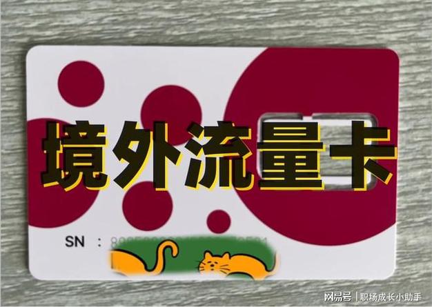 国外有定向流量卡吗