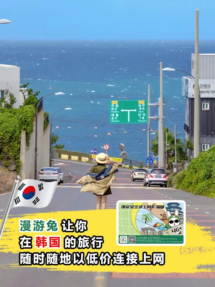 出国流量卡韩国