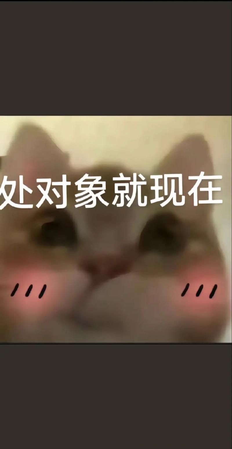 她的男朋友的抖音叫什么