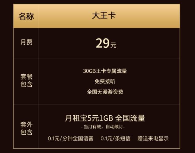 联通无限流量卡详情