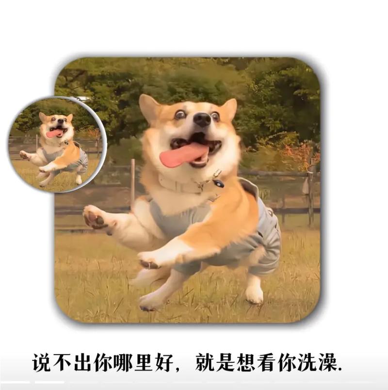 抖音里面最污的号是什么