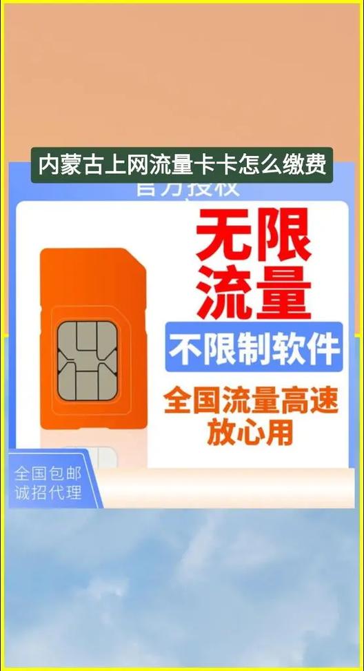 流量卡的上网记录怎么查