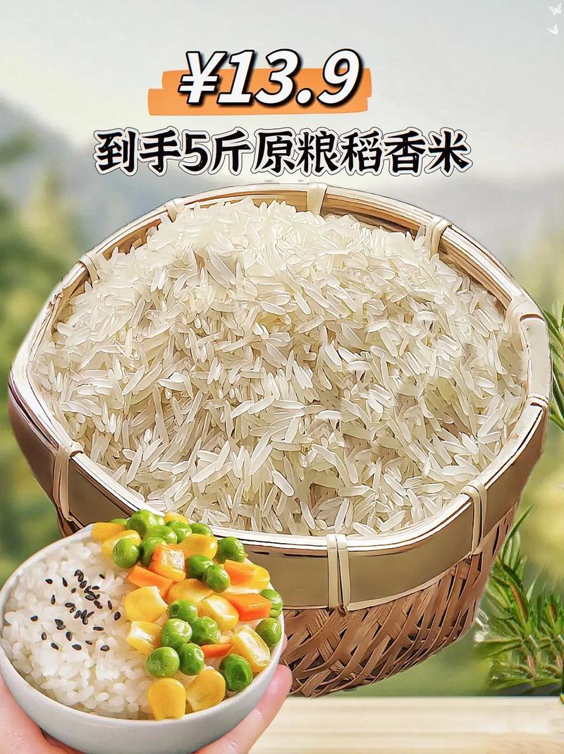 抖音很火的香米是什么米