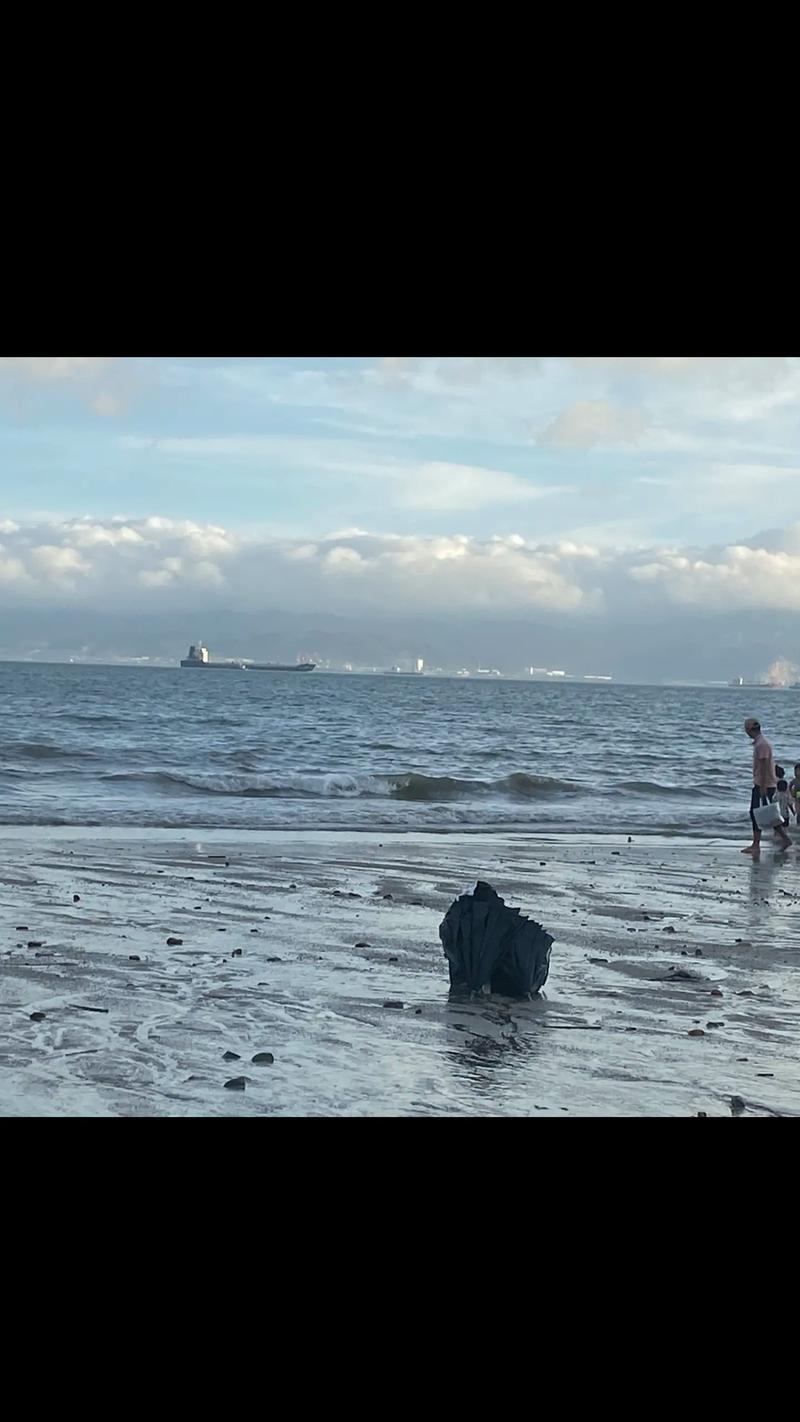 抖音说的海对面是什么海