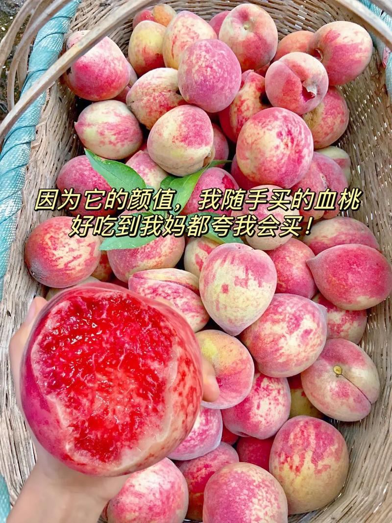 抖音桃什么名的屏障主播
