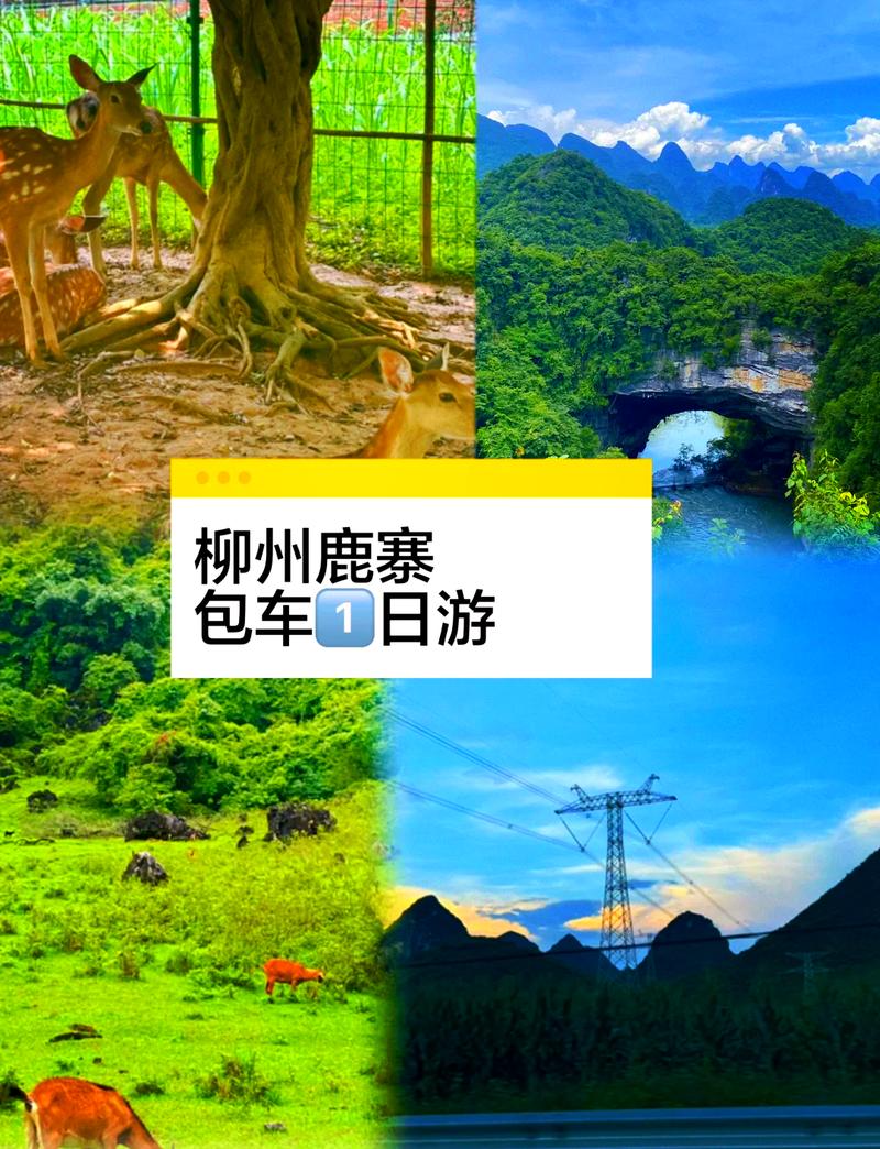 柳州鹿寨流量卡