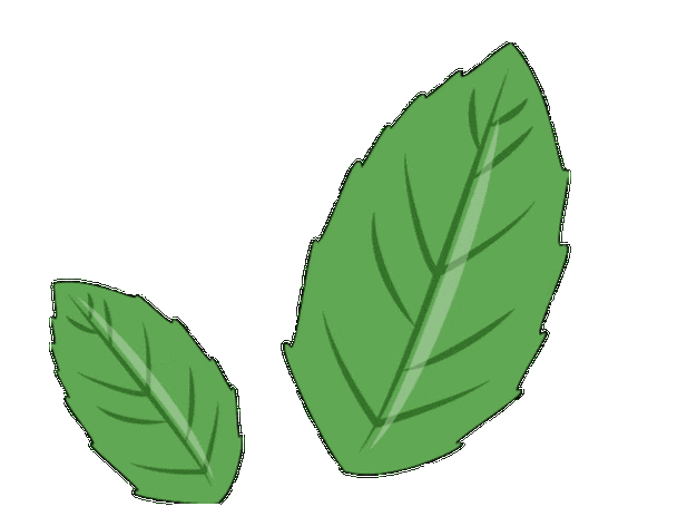 红茄流量卡