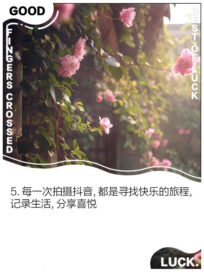 拍抖音后为什么有笑声呢