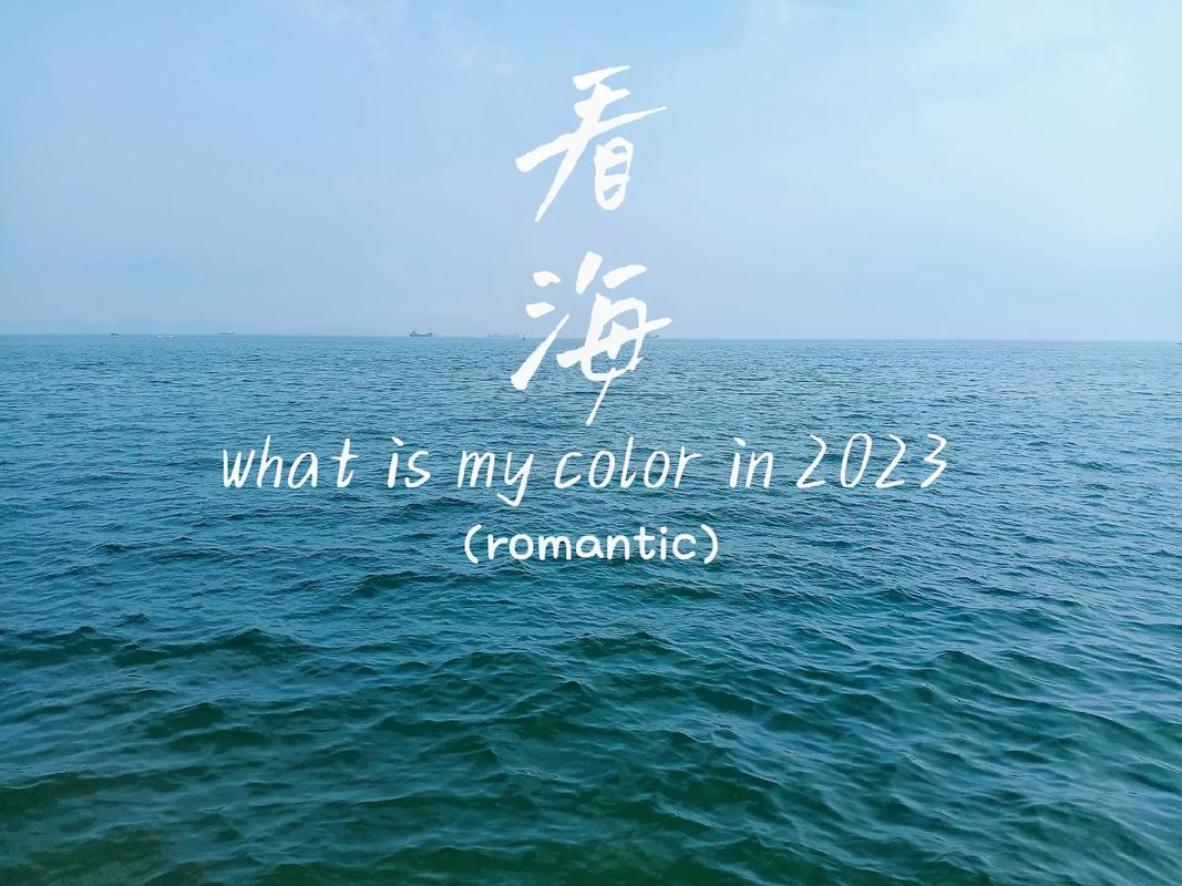 抖音说的海对面是什么海