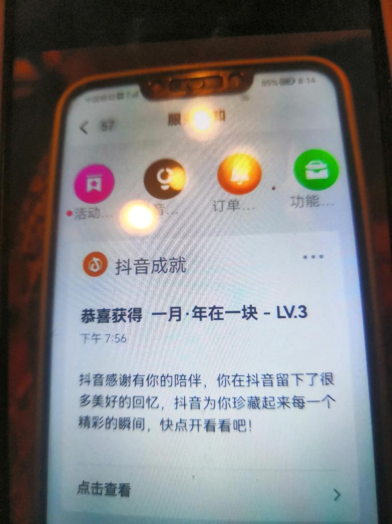 抖音LV19是什么意思