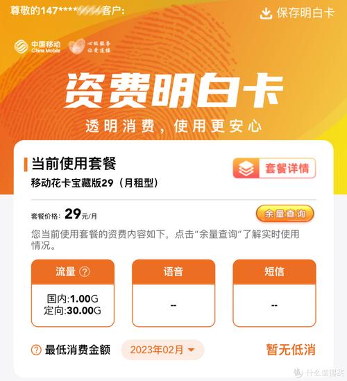 流量卡老是被别人用过